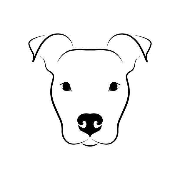 ilustraciones, imágenes clip art, dibujos animados e iconos de stock de lindo perro frente a la vista - american staffordshire terrier bull terrier terrier purebred dog