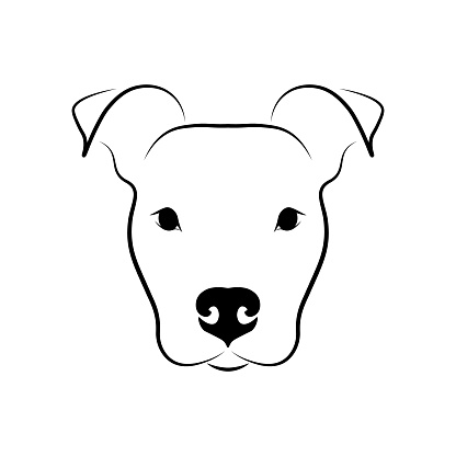 Staffordshire Terrier portrait. Black linear sketch on white background. Vector illustration