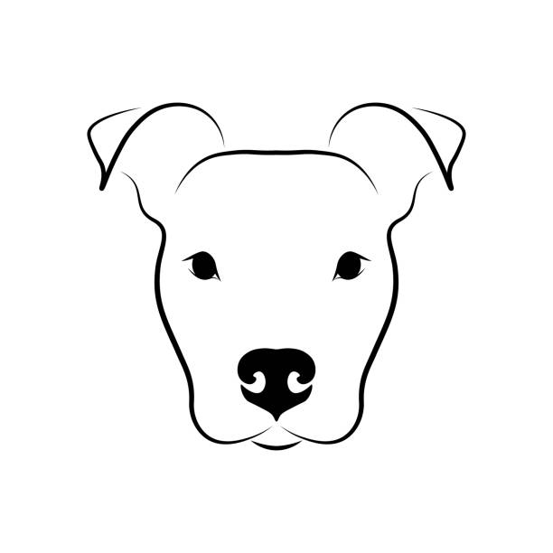 可愛的狗頭前視圖 - 比特犬 幅插畫檔、美工圖案、卡通及圖標