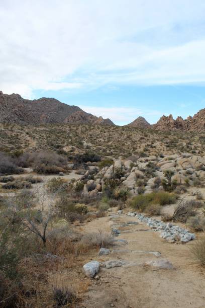 istock INDIAN COVE TRAIL - JOSHUA TREE NP - 120619 B 1197134700