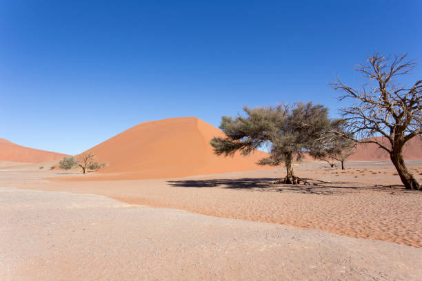 istock Beautiful red dune in the desert 1197135106