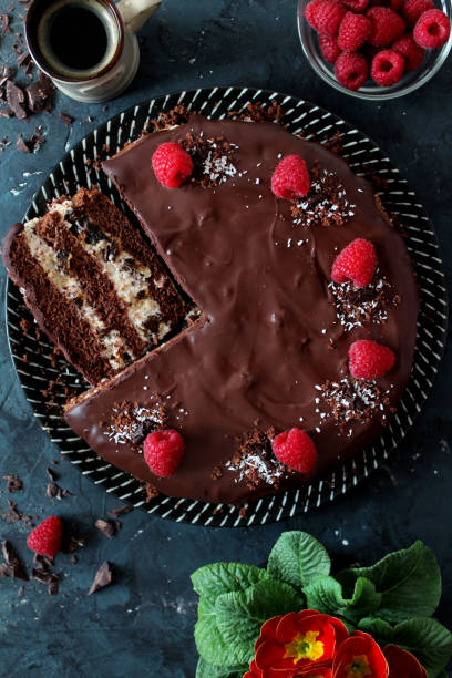 istock Chocolate cake with fruits on stone background. 1197137056