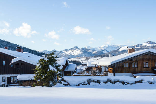 istock winter cross-country skiing landscape 1197138509