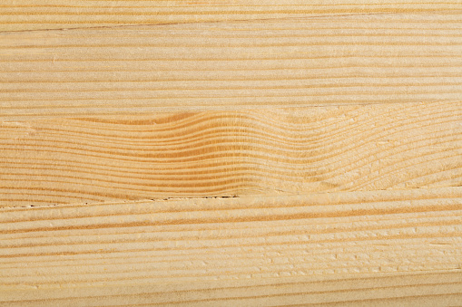 Texture of light wood with veins closeup. Wooden background
