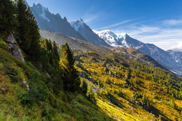 istock Forest slopes Mont Blanc mountain summit landscape, Chamonix. 1197142598