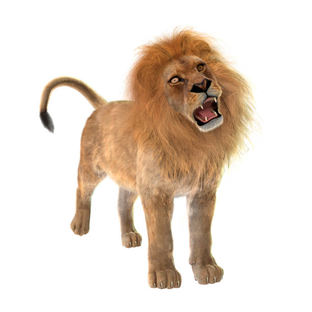 istock 3D illustration fmale lion on white 1197146236