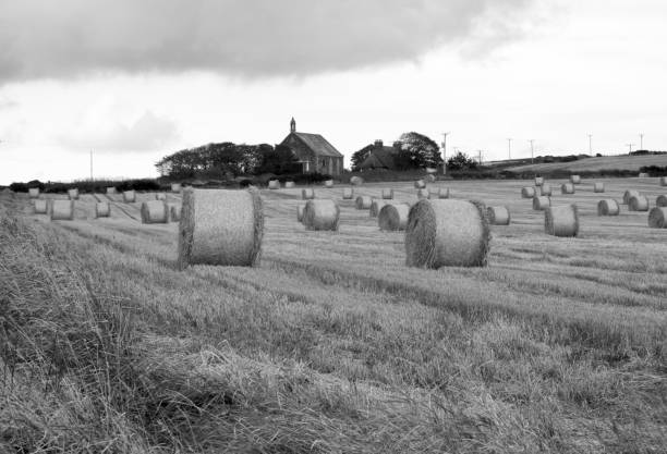 Bales of hay in a field in the Northeast  part of Scotland...