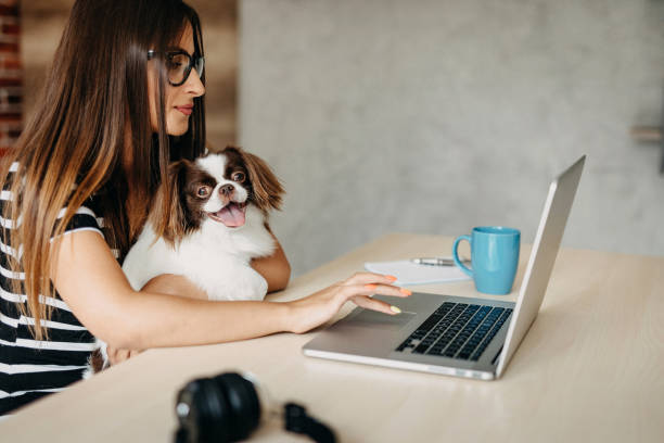 istock You make my job easyer 1197150489