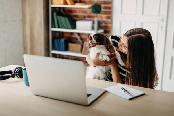 istock You make my job easyer 1197150545