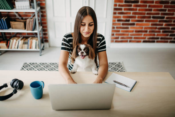 istock You make my job easyer 1197150598