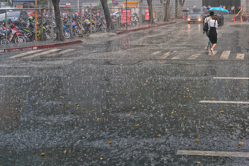 Manila, Philippines - March 22nd 2018: people holding umbrellas crossing the zebra crossing in Manila in a thunderstorm