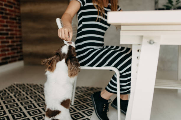 istock You make my job easyer 1197151880