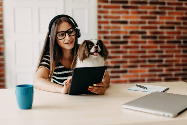 istock My best friend on work with me 1197152116
