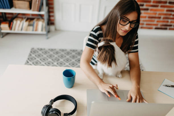 istock Cute dog in office 1197152170