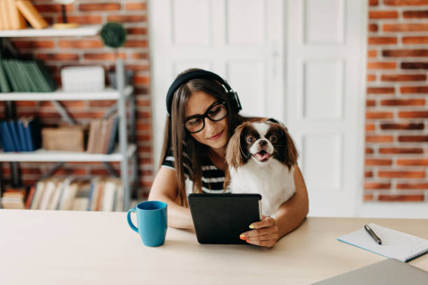 istock My best friend on work with me 1197152189