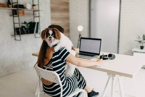 istock Cute dog in office 1197153099