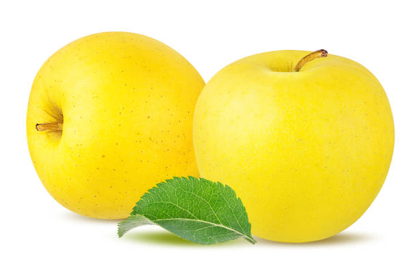istock Yellow apples with leaf isolated on white background with clipping path 1197154679