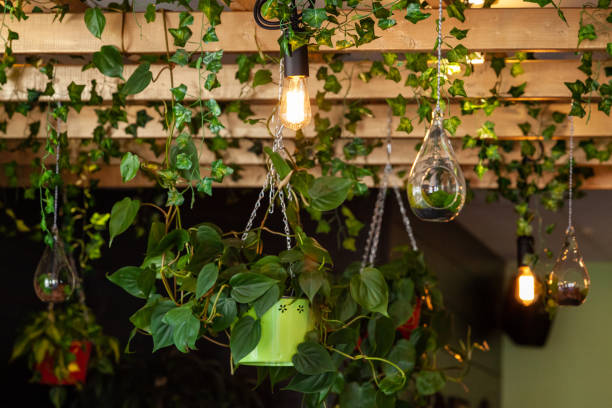istock Modern light bulb in eco-friendly bistro 1197158356