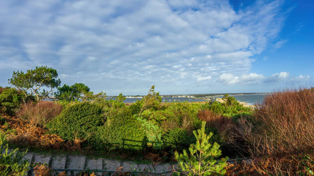 A view of the Christchurch (UK) harbor from the Hengistbury Head hill with some trees and stair in the foreground under a majestic blue sky and extensive white clouds A view of the Christchurch (UK) harbor from the Hengistbury Head hill with some trees and stair in the foreground under a majestic blue sky and extensive white clouds hengistbury head photos stock pictures, royalty-free photos & images