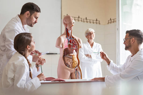 istock Students of medicine learning anatomy in university 1197163605