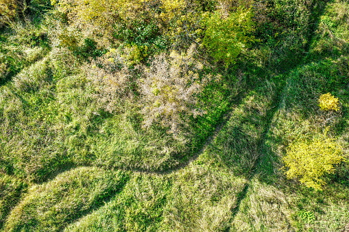 footprints trails crossroads on green field
