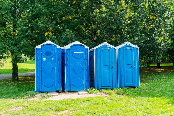 istock Four blue portable bio toilet on grass 1197163892