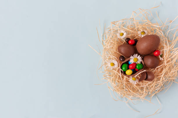 istock Chocolate Easter eggs in a nest on pastel blue background top view and copy space for your text. 1197164808