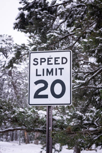 istock Speed Limit Sign In The Snow 1197166834