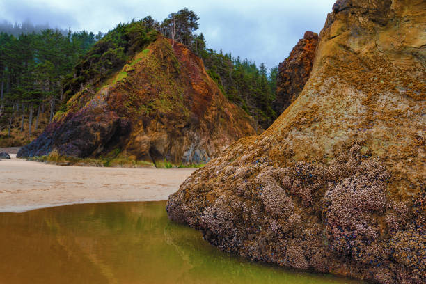 istock Hug Point on the Oregon Coast 1197169296