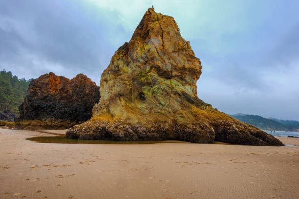 istock Hug Point on the Oregon Coast 1197169301