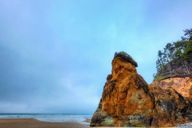 istock Hug Point on the Oregon Coast 1197169326
