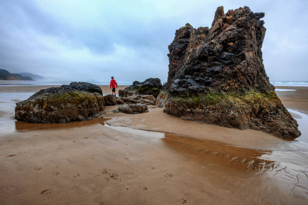 istock Hug Point on the Oregon Coast 1197169342