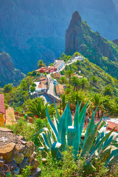 istock Mountain village Masca in Tenerife 1197169397