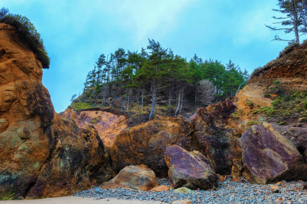 istock Hug Point on the Oregon Coast 1197169494