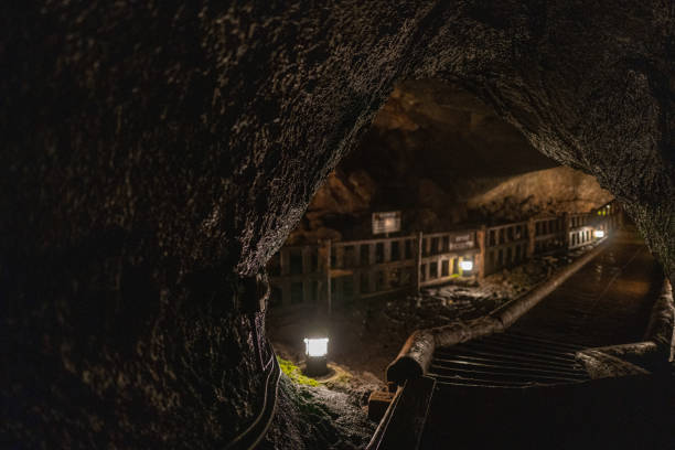 The Kawaguchiko Bat cave, Japan