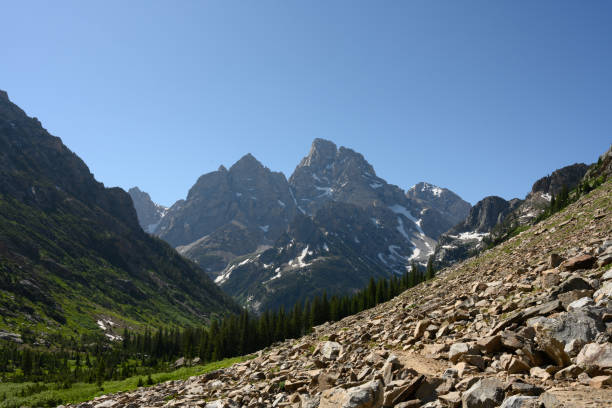 Boulder Field Through Teton Canyon in summer