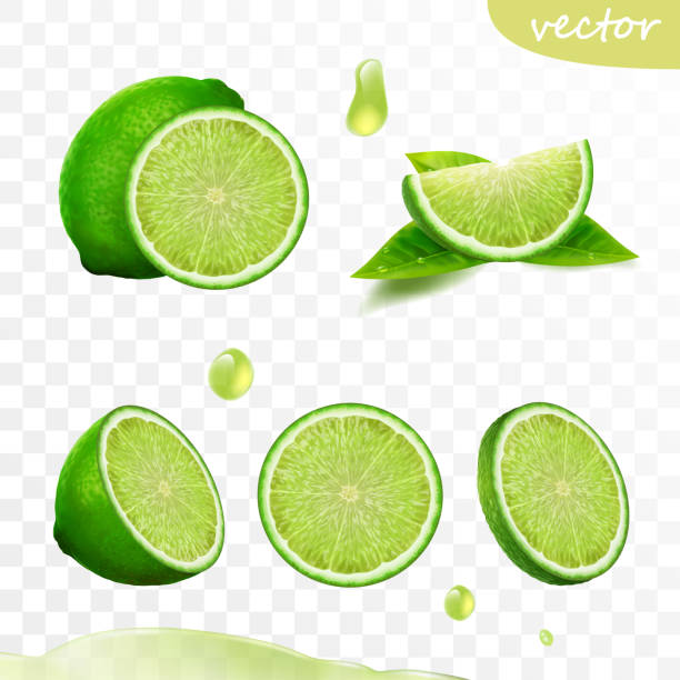 ilustraciones, imágenes clip art, dibujos animados e iconos de stock de conjunto vectorial realista 3d de elementos, cal entera, cal en rodajas, aceite de lima gota, hojas - lime wedge