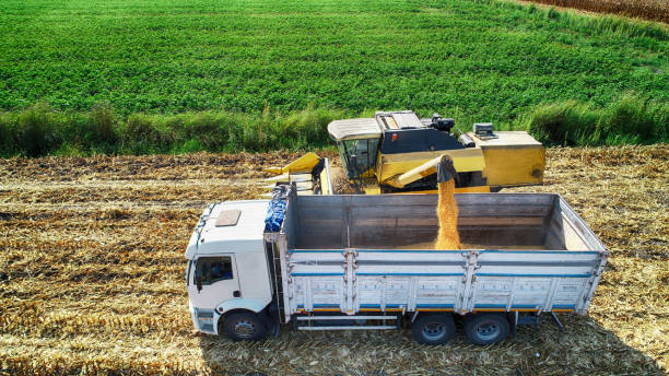 istock Aerial view of corn field during harvest 1197171688