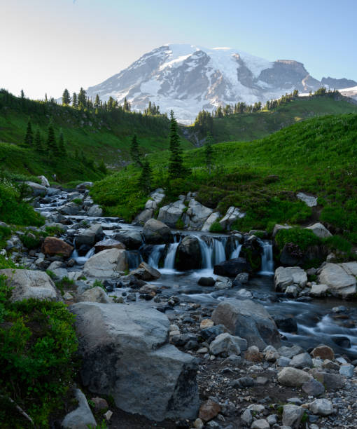 istock Creek Tumbles Over Rocks Below Mount Rainier 1197173992
