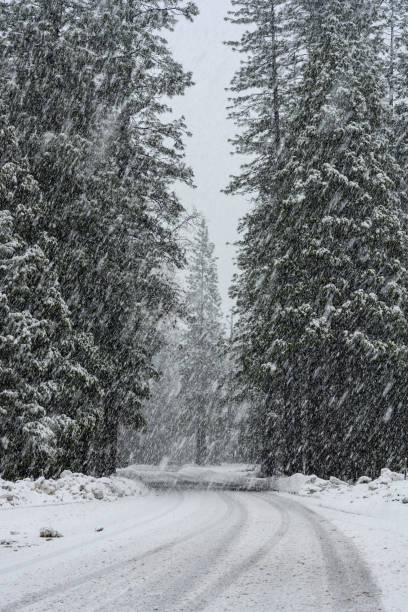 istock Driving Snow Covers Roadway 1197174637
