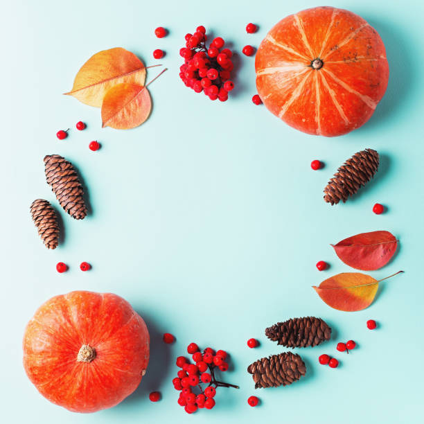 istock Autumn frame with leaves, rowan berries, orange pumpkins, pine cones on pastel background, flat lay. Fall, thanksgiving concept. Lay out with autumn leaves and plants in fall colors, copy space 1197175222