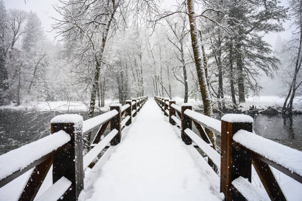 istock Long Wooden Bridge Covered in Snow 1197175933
