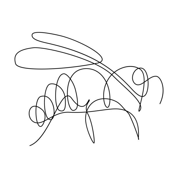 ilustrações, clipart, desenhos animados e ícones de abelha - fly line art insect drawing