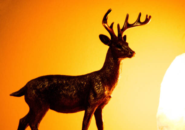 istock Stag Colourful Sunrise 1197178050