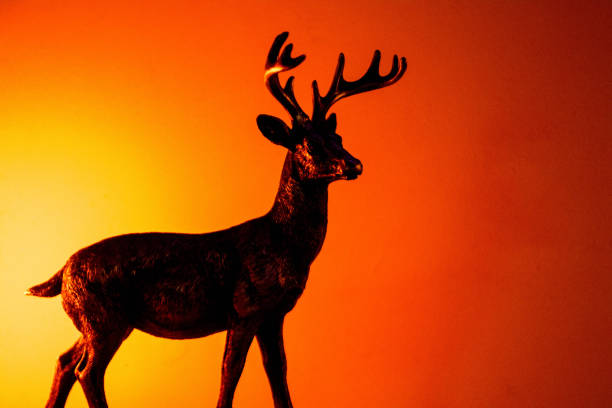 istock Stag Colourful Sunrise 1197178130