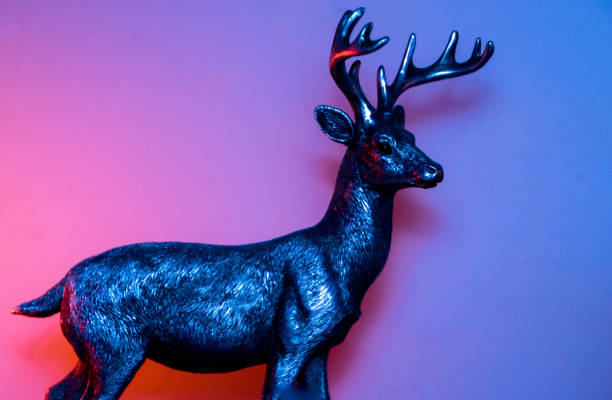 istock Stag Colourful Sunrise 1197179519