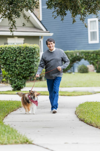 istock Senior Hispanic man walking dog on leash 1197180509
