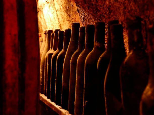 Wine cellar with bottles in old wooden shelves of rural storage or restaurant underground.