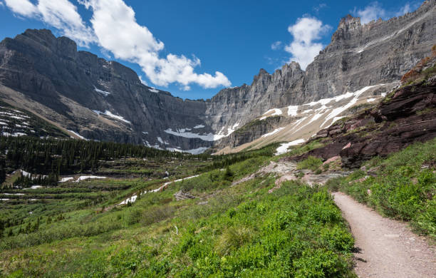 アイスバーグ湖へのハイキング - montana mountain lupine meadow ストックフォトと画像