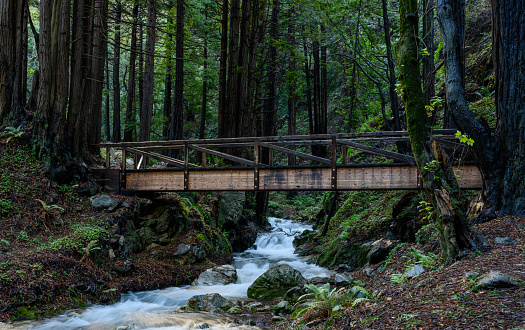 Wooden Bridge Crosses Creek in Redwoods Forest in northern California